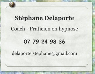 Stéphane Delaporte  Coach - Praticien en hypnose  07 79 24 98 36  delaporte.stephane@gmail.com